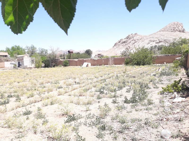 روستای ابریشم