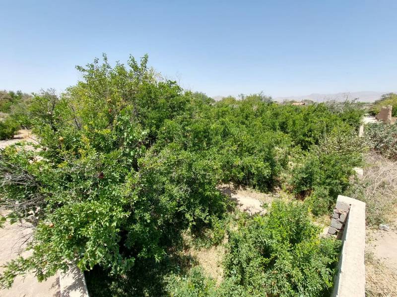 باغ در بلوار_ایزدی