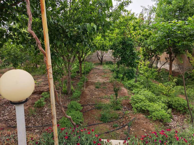 باغ در صالح آباد