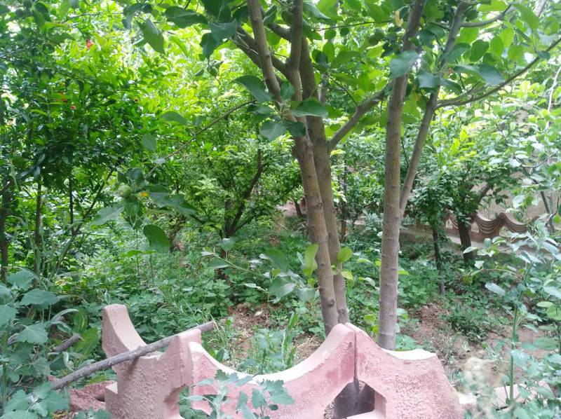 باغ در لورک_جوزدان