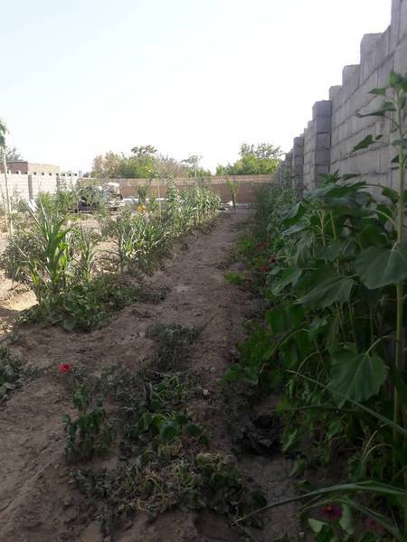 باغ در حاجی آباد