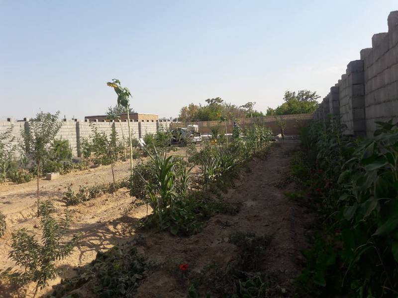 باغ در حاجی آباد